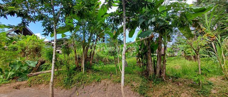 Tanah kawasan villa pejeng dekat ubud 1