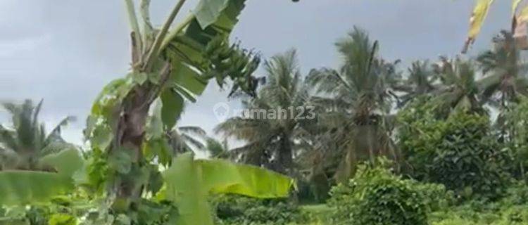 Tanah View Sawah Sungai Mas Ubud 1