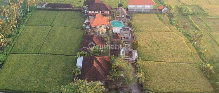 Hotel Tengkulak Kemenuh Dekat Ubud 1