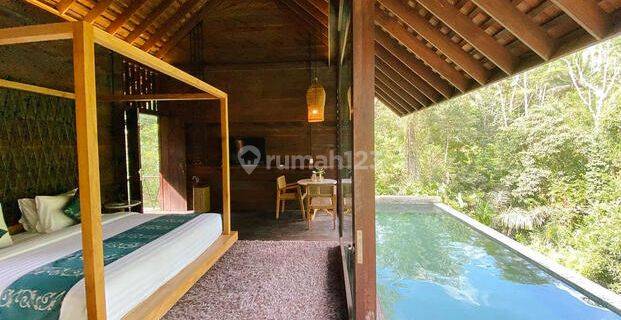 Dijual Villa Ready Modern Minimalis View Lembah & Sungai Di Ubud 1