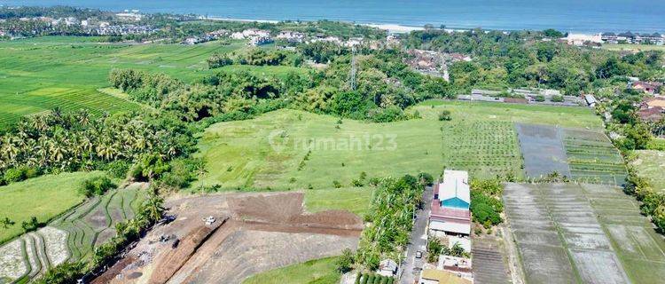 Cheap Price Land Plot View Rice Fields Near Yeh Gangga Beach 1