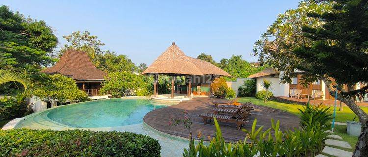 Jual Villa Mewah Di Tibubeneng Canggu Halaman Luas Cocok Diinvest 1