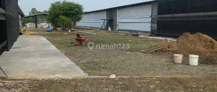 Kadang Plus Ijin Usaha Peternakan Luas 7132 M Di Subang  1
