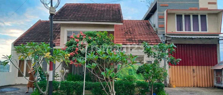 Rumahtaman Angrek Regency Jember Murah Ang.a075 1