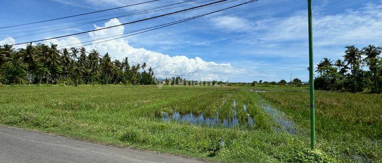 Tanah Strategis Murah Utk Hotel, Resort 1.3ha, SHM Banyuwangi 1