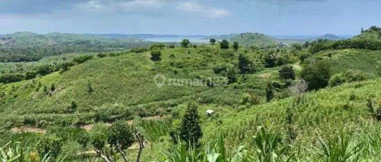 Tanah Murah Di Lombok Tengah Dekat Mandalika Cocok Untuk Villa 1