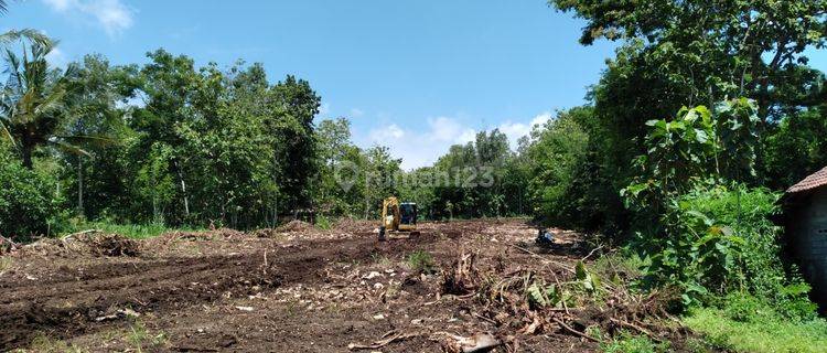 Tanah Strategis SHM Kulon Progo, 5 Menit dari Akses Tol.  1