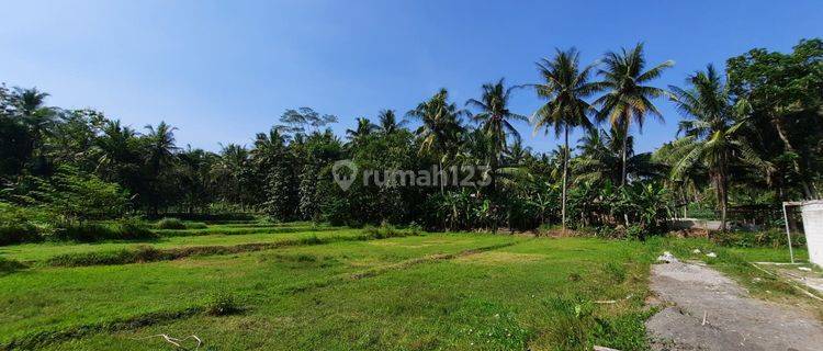 Tanah Murah Naggulan, Cocok Investasi. Dekat Exit Tol 1