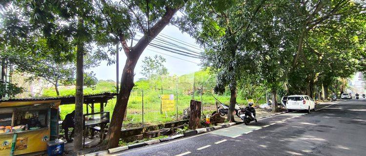 Sewa Per Tahun Tanah Di Pajajaran Jambu Dua Nego Shm Lebar 30 Meter Daerah Ramai Dan Komersil Bogor 1