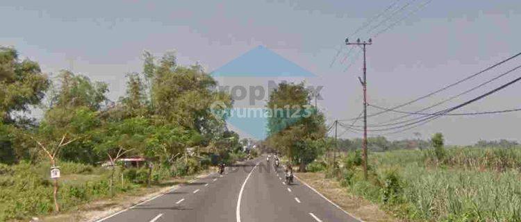 Jual Cepat Tanah Nol Jalan Raya Dlanggu Mojokerto 1