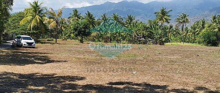 Tanah Murah Bali Pantai Nusantara Buleleng 1