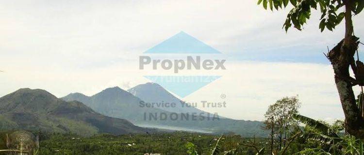 Jual Cepat Tanah Area Batur Bali View Gunung Dan Danau 1