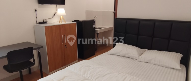 Golden Knight Suites | EcoHome Apartment  1