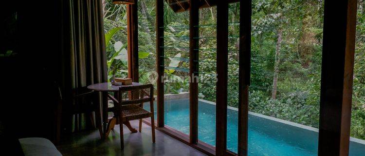 Villa Pribadi di Ubud Bali Tipe 1 Br Furnish Dan Pool 1