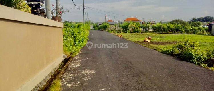 Rumah 1 Lantai 5 Kamar Tidur Denpasar Utara Bali 1