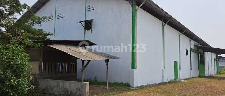 Gudang Strategis Di Jln Selembaran Raya Tangerang - Dijual 1