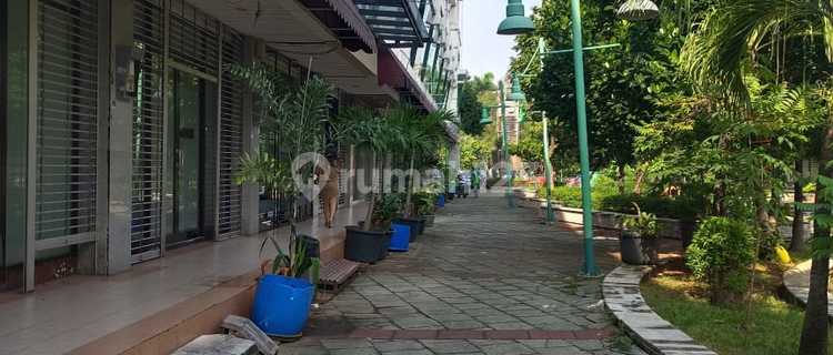 Ruko Mewah Di Galeri Niaga Mediterania Pik 1 - Dijual 1