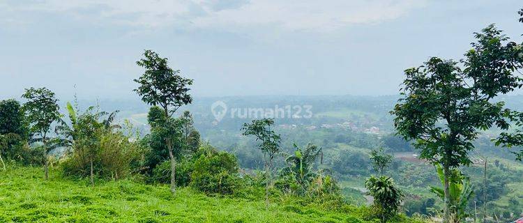 Tanah 3,7 Hektar Di Cijeruk View Gunung View Sawah 1