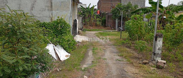 Tanah Kavling Strategis Siap Pakai di Griya Mulya Loka 1