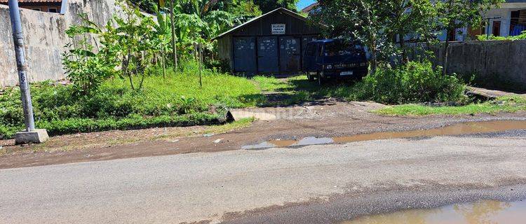 Tanah 500 m² SHM sedikit gentong di Jenggawah 1