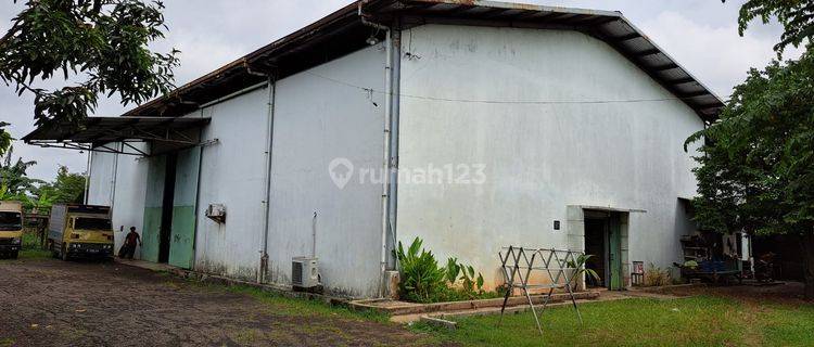 Gudang Serta Tanah Ada Kantor Dan Mess Kawasan Bebas Banjir Siap Pakai di Sepatan Tangerang 1