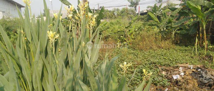 Lahan Kosong Bersetifikat Hak Milik di Teluk Naga, Tangerang 1