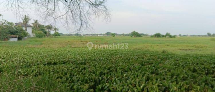 Lahan Luas Cocok Untuk Usaha Lokasi Pinggir Jalan Raya di Balaraja, Tangerang 1