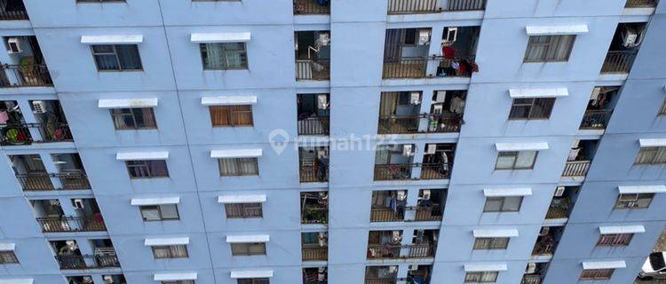 Apartement Apartemen Green Park View 2 BR Sudah Ajb 1