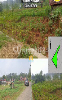 Tanah Luas Strategis Di Jalan Kandri Gunungpati 1