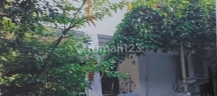 For Sale House in North Tanjung Duren SHM (030) 1