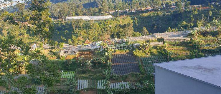 Villa cantik view gunung villa istana bunga Lembang  1