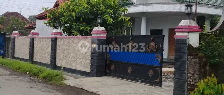 Rumah dan Sarang Burung Walet Brebes, Jawa Tengah  1