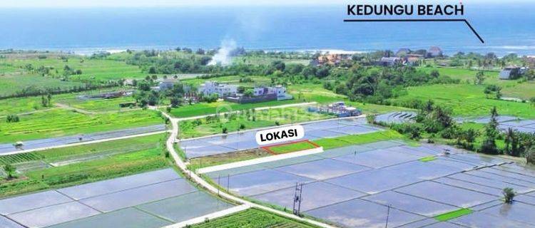 Di Jual Tanah Kecil Premium Area Pantai Kedunggu Tabanan, Jalan Kaki Ke Pantai, Kawasan Villa, View Gunung, Laut, Sawah, Zona Pariwisata, Sunset Poin Dan Sunrise  1