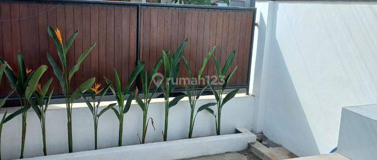 Local House For Rent In Arjuna Cluster Pecatu Area 1