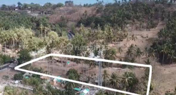 Dijual Tanah Lahan Komersial 4911 m2 Senggigi, Lombok Barat View Pantai 1