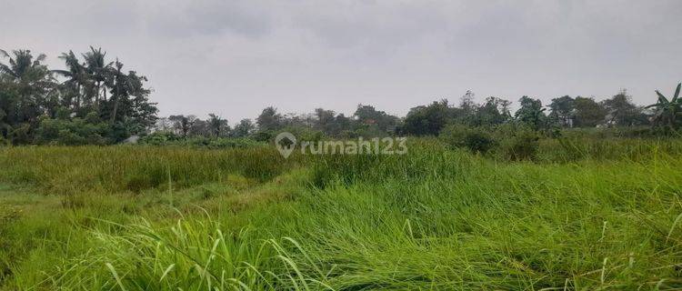 Dijual Tanah Dan Rumah Cocok Untuk Membuat Perumahan Baru Atau Ruko di Babelan Bekasi 1