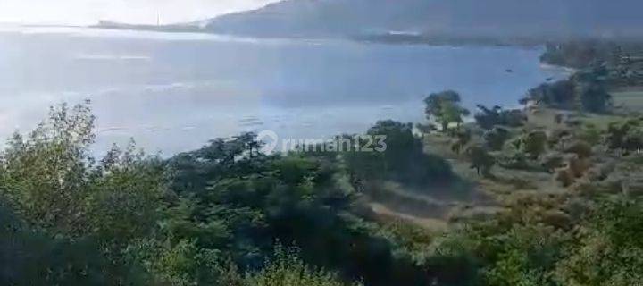 Dijual /for sale land in pemuteran ocean view front beach and hills and spot for diving  1