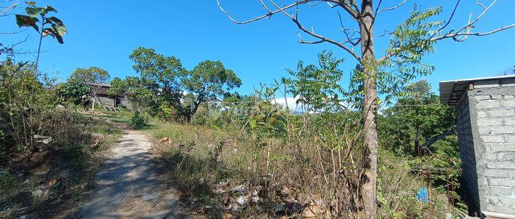 Tanah view laut lokapaksa seririt buleleng bali 1