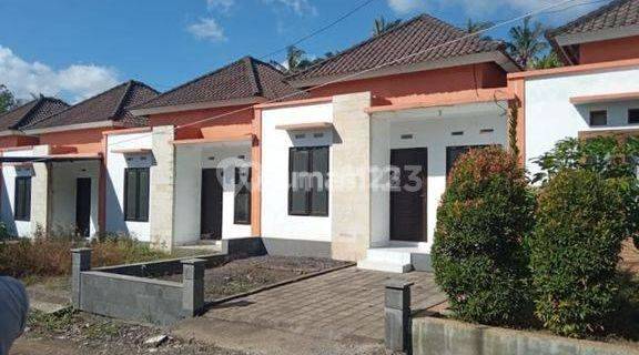 Rumah minimalis 1 km dari jalan antar provinsi di Tabanan Bali 1