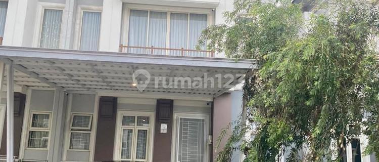 Comfortable Lucky House The Savia Bsd 1