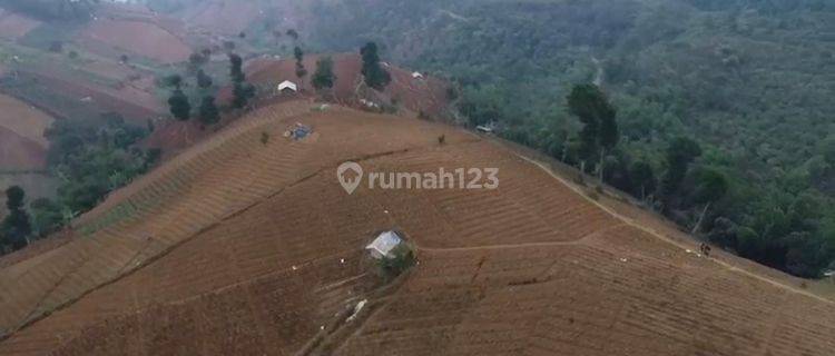 Dijual Cepat Tanah Dengan Luas 2,4 Hectar, Dago Pakar, Bandung, 031 1