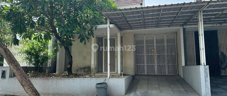 Rumah Murah 1,5 Lantai Semi Furnish Siap Huni Dekat Pasar Modern Di Woodland Citraland Surabaya Barat 1