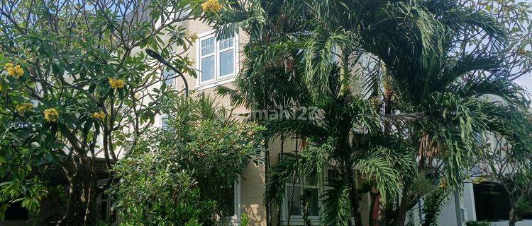 Rumah Murah 2 Lantai Hook Minimalis Semi Furnished Siap Huni Dekat Pasar Modern Di Alam Hijau Citraland Utama Surabaya Barat 1