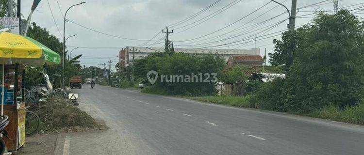 Tanah 2925 m² di belakang terminal Tegal, Margadana 1