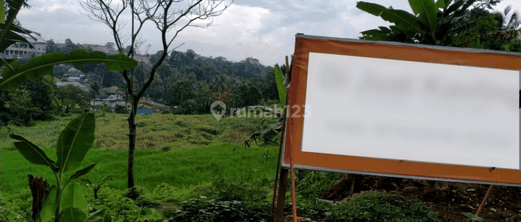 TANAH LUAS DI SAYANG SAGALAHERANG KAB SUBANG 1