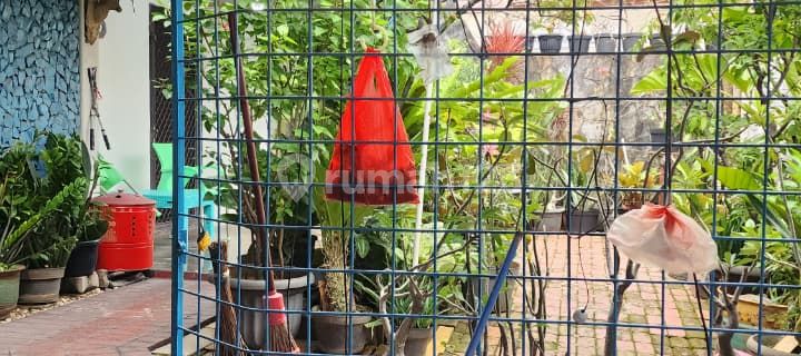 Dijual Cepat Rumah Kedoya Selatan, Surya Wahana. Selalu Bebas Banjir!!! Lokasi Strategis, SHM. 3 AC. Jalan Muat untuk 2 Mobil. Hub Kami untuk Nego Kami Bantu Deal! 1