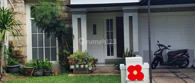 Rumah Disewakan Di Sutera Olivia Rumah di Sutera Olivia 1