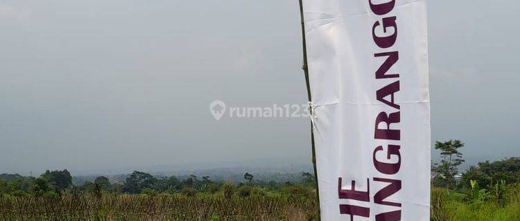 The Pangrango Hils  1