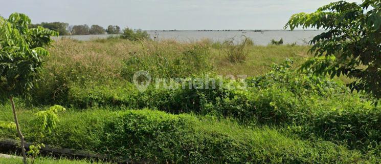 Kavling di Kawasan Industri Wijayakusuma 1