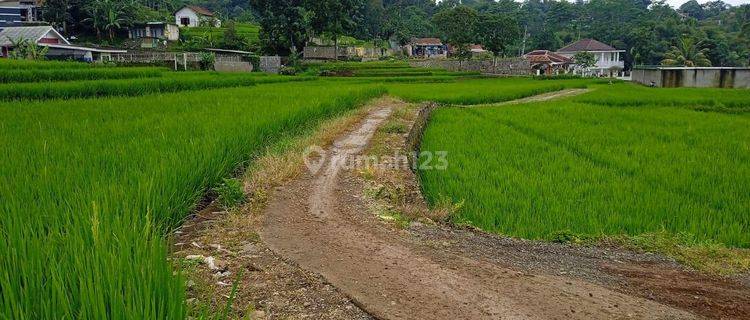 Tanah di Desa Ciapus Banjaran Bandung Jawa Barat  1